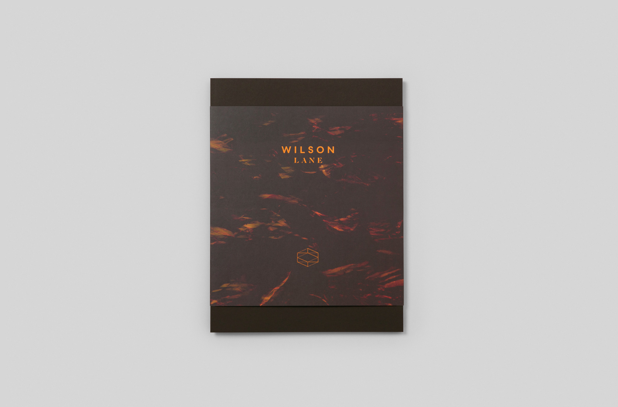 Wilson Lane - Book